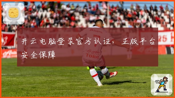 开云电脑登录官方认证，正版平台安全保障