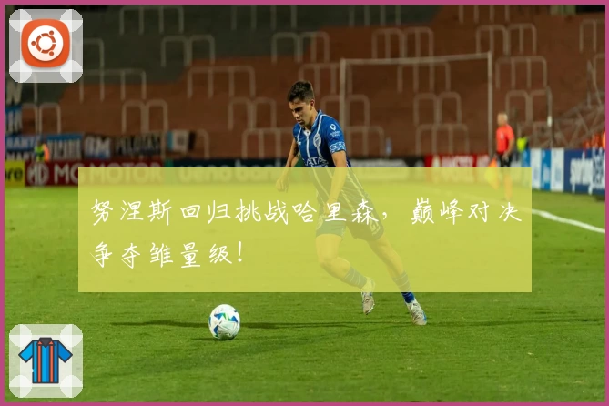 努涅斯回归挑战哈里森，巅峰对决争夺雏量级！