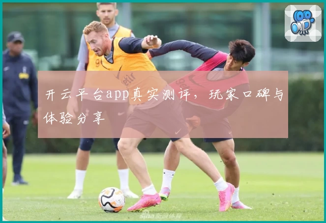 开云平台app真实测评，玩家口碑与体验分享