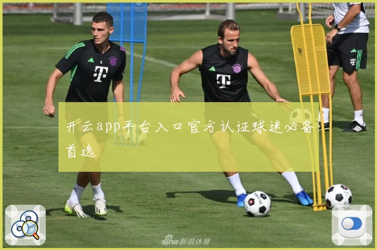 开云app平台入口官方认证球迷必备首选